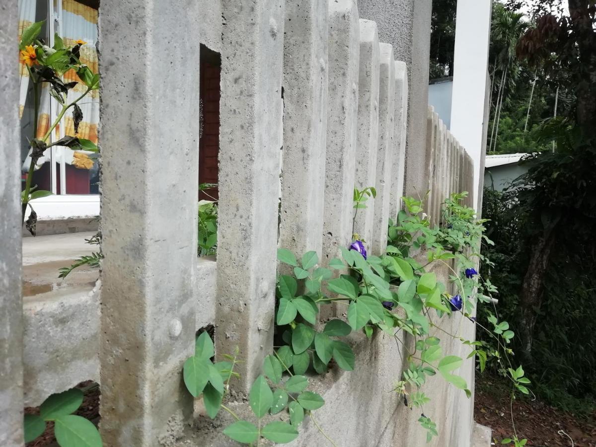 Ella Delightful Surround Homestay Luaran gambar